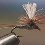 Adams Parachute